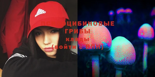 прущие грибы Алексеевка