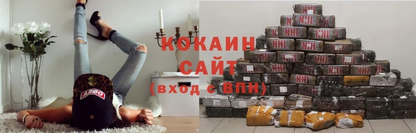 стаф Алзамай