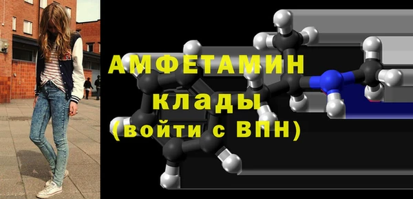 стаф Алзамай