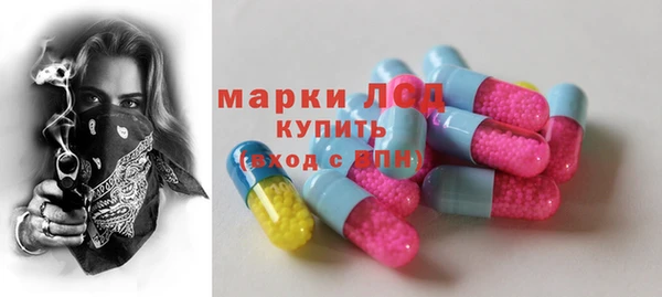 стаф Алзамай