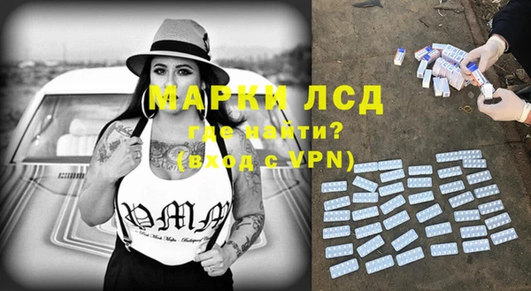 стаф Алзамай