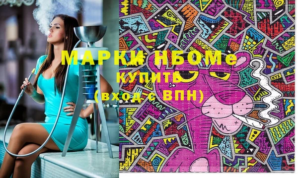 стаф Алзамай