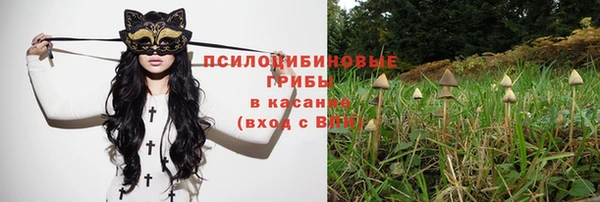 прущие грибы Алексеевка